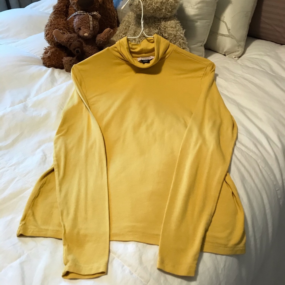 Soaked in Luxury Turtleneck